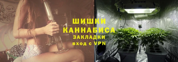 прущие грибы Арсеньев