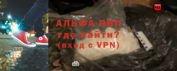 прущие грибы Арсеньев