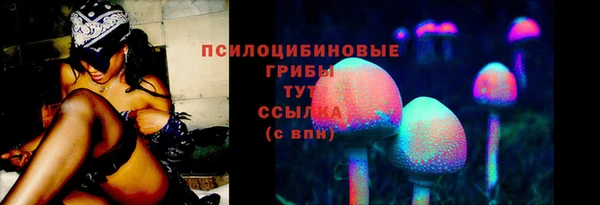 стаф Армянск