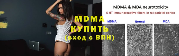 прущие грибы Арсеньев