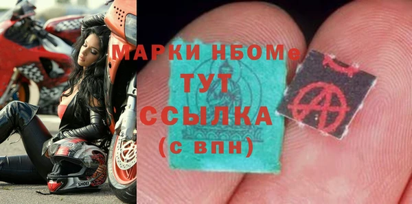 прущие грибы Арсеньев