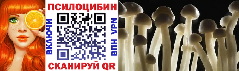 Псилоцибиновые грибы мухоморы  маркетплейс какой сайт  Армянск 